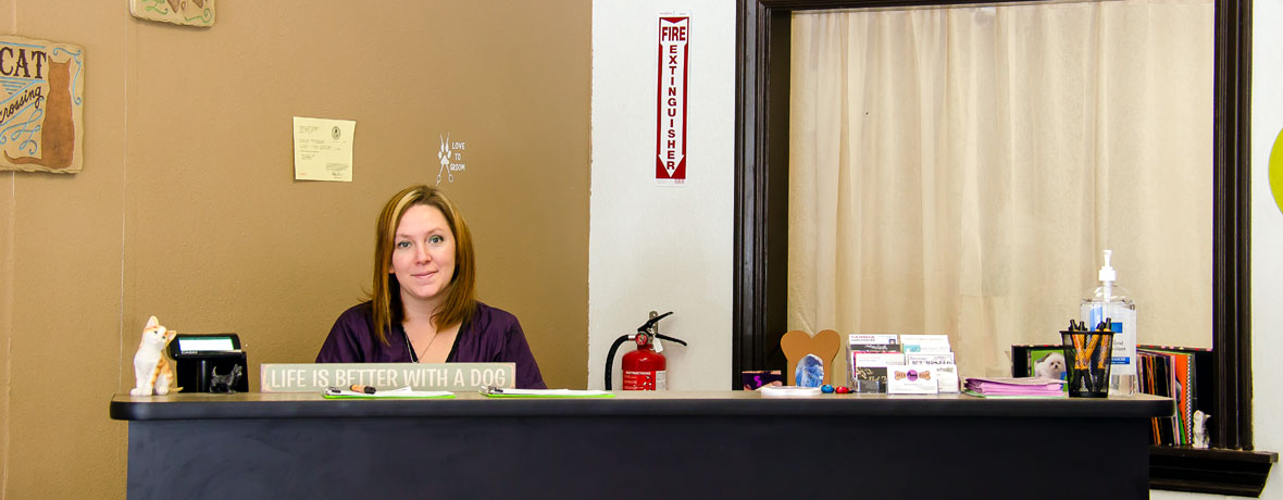 Make An Appointment With Desiree Today!